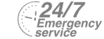 24/7 Emergency Service Pest Control in Northolt, UB5. Call Now! 020 8166 9746