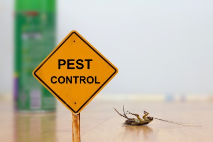 Pest Contol in Northolt, UB5. Call Now 020 8166 9746